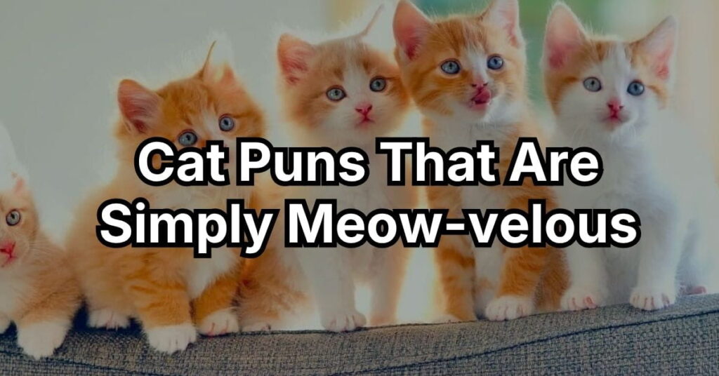 Cat Puns That Are Simply Meow-velous