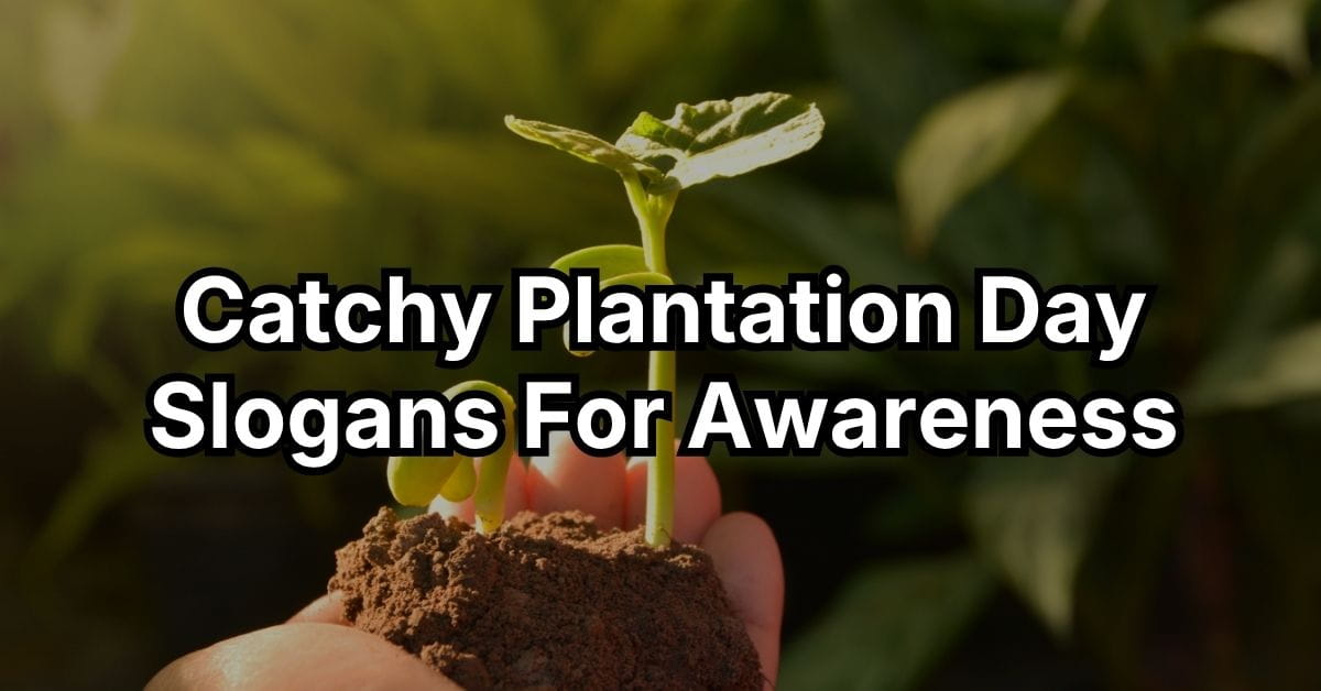 Catchy Plantation Day Slogans For Awareness
