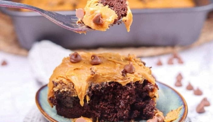 Decadent Chocolate Salted Caramel Cake