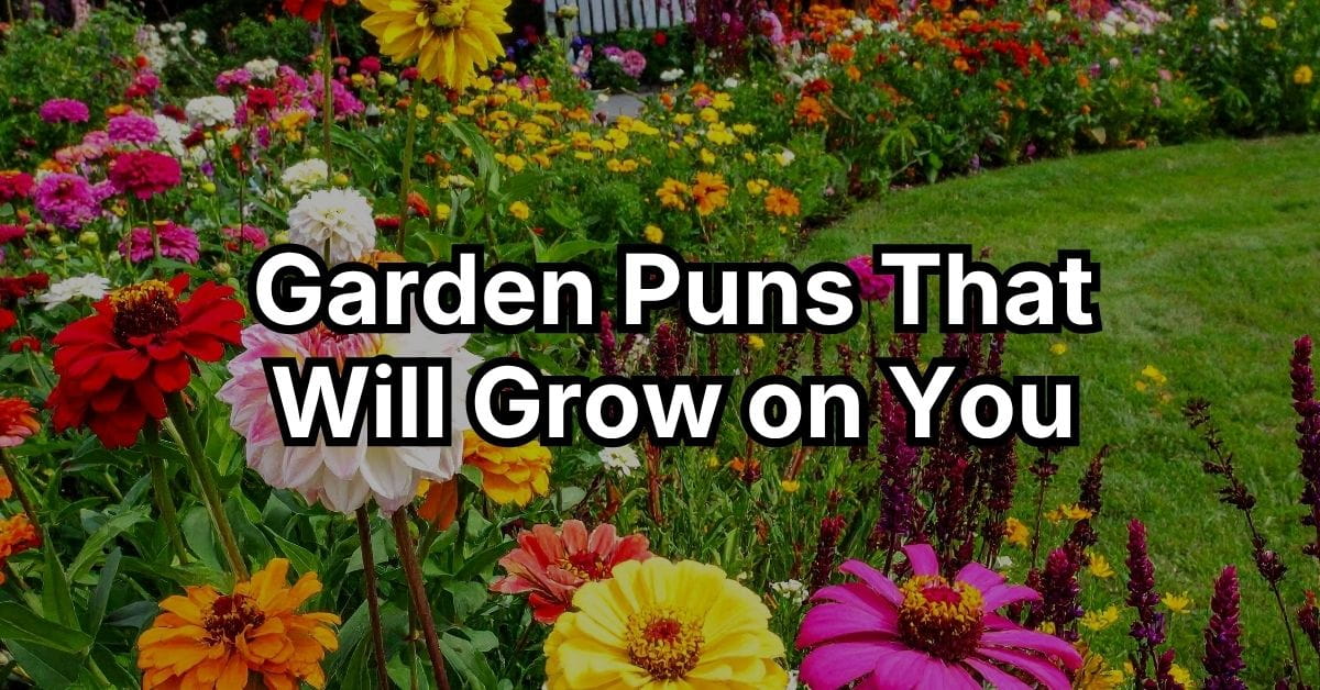 Garden Puns That Will Grow on You