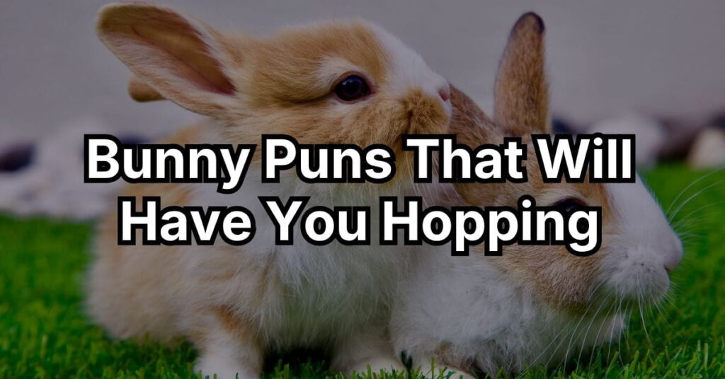 Bunny Puns That Will Have You Hopping