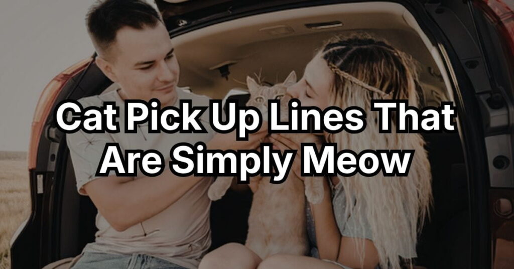 Cat Pick Up Lines That Are Simply Meow