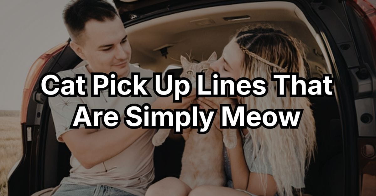 Cat Pick Up Lines That Are Simply Meow