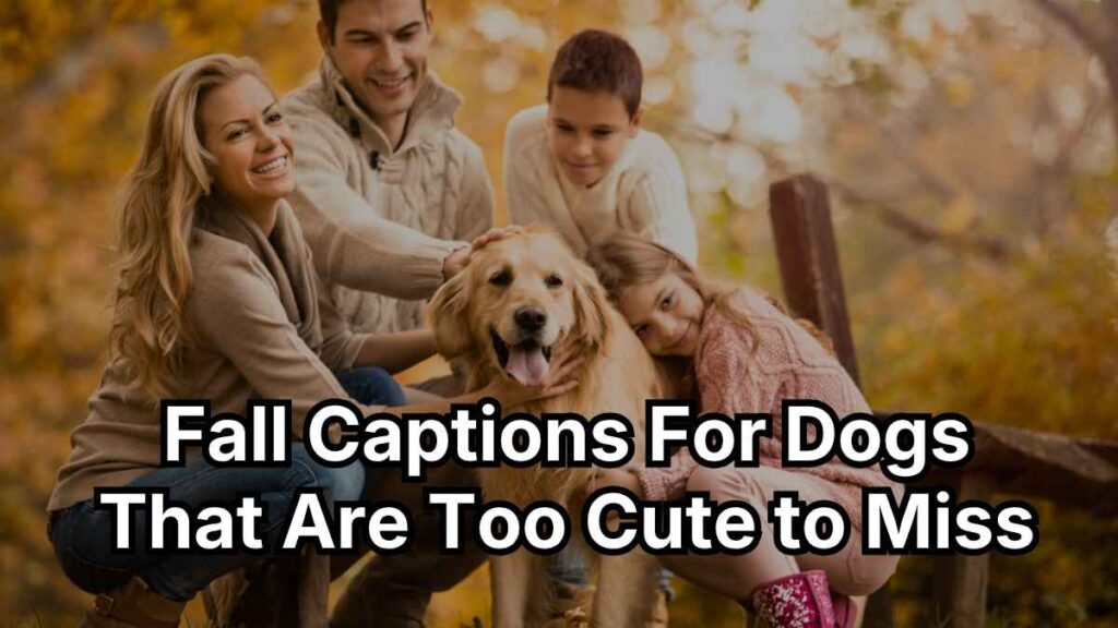 Fall Captions For Dogs That Are Too Cute to Miss