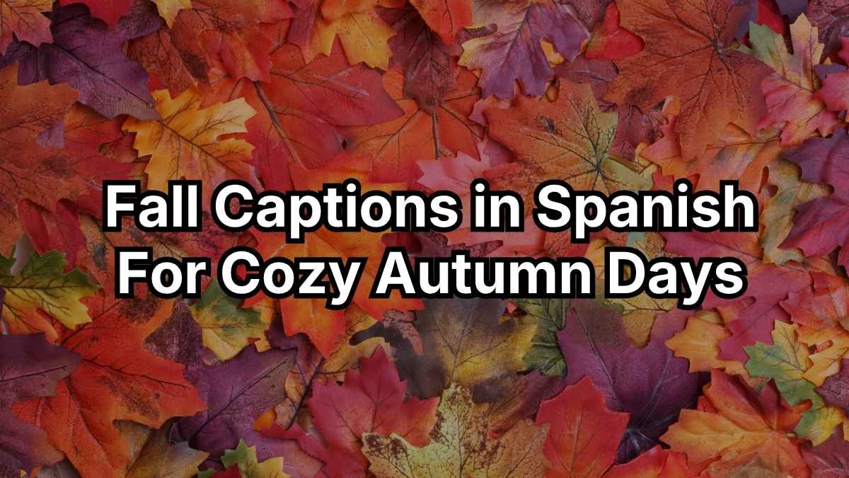 Fall Captions in Spanish For Cozy Autumn Days