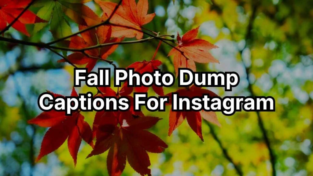 Fall Photo Dump Captions For Instagram