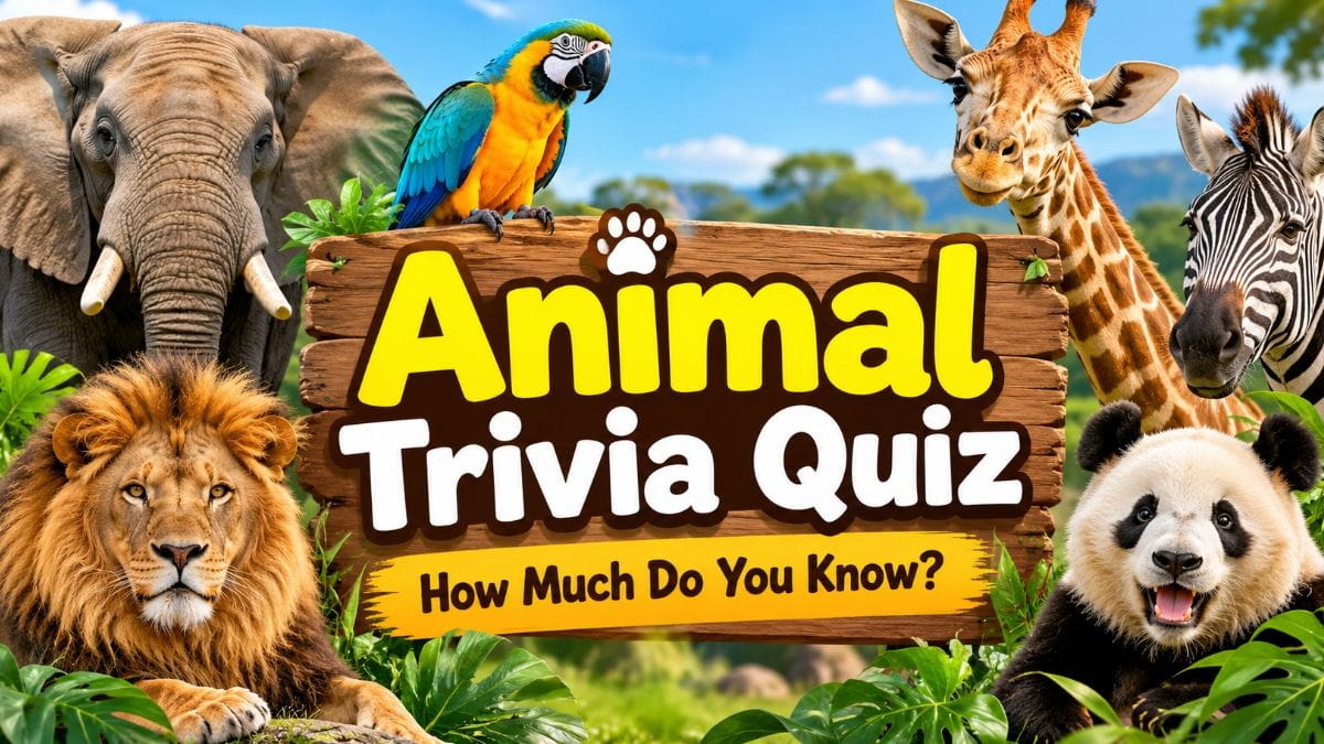 Animal Trivia Quiz