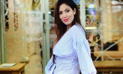 Munmun Dutta as Babita Krishnan Iyer